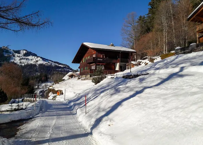 Helene Apt- Hella By Interhome Apartman Wengen