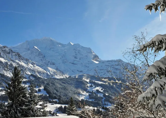 Helene Apt- Hella By Interhome * Wengen