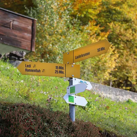 Helene Apt- Hella By Interhome Apartament Wengen