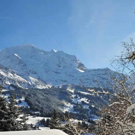 Helene Apt- Hella By Interhome * Wengen
